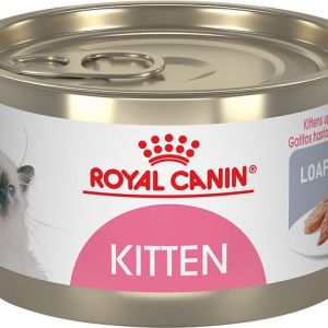 Kitten pate Royal Canin